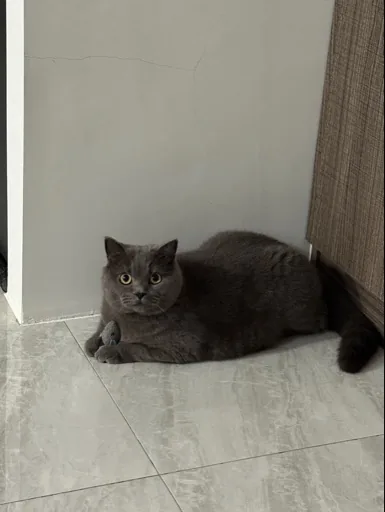 77777