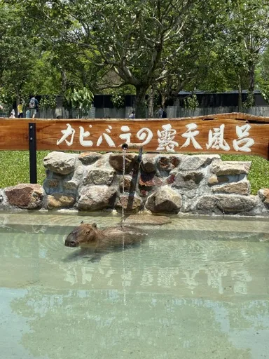 user_2473647087