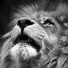 user_2124674850