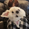 User_3837595400