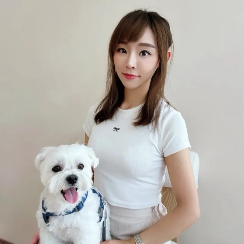 豬豬