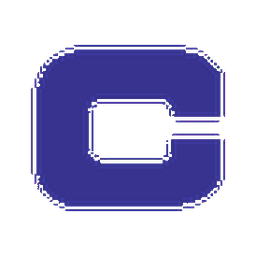 天剛 logo